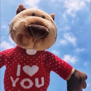 Meet your Posher, Zhang